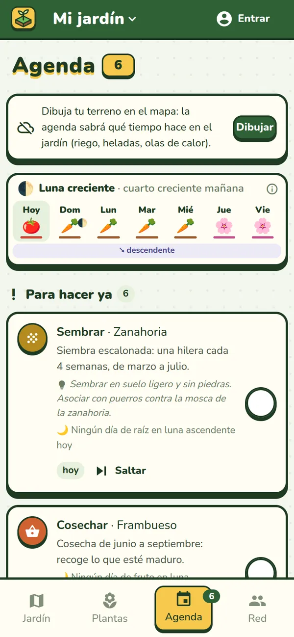 La agenda de Jardingo: la luna de la semana y las tareas para hacer ahora.